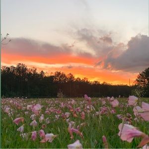 Meet your Posher, Lori